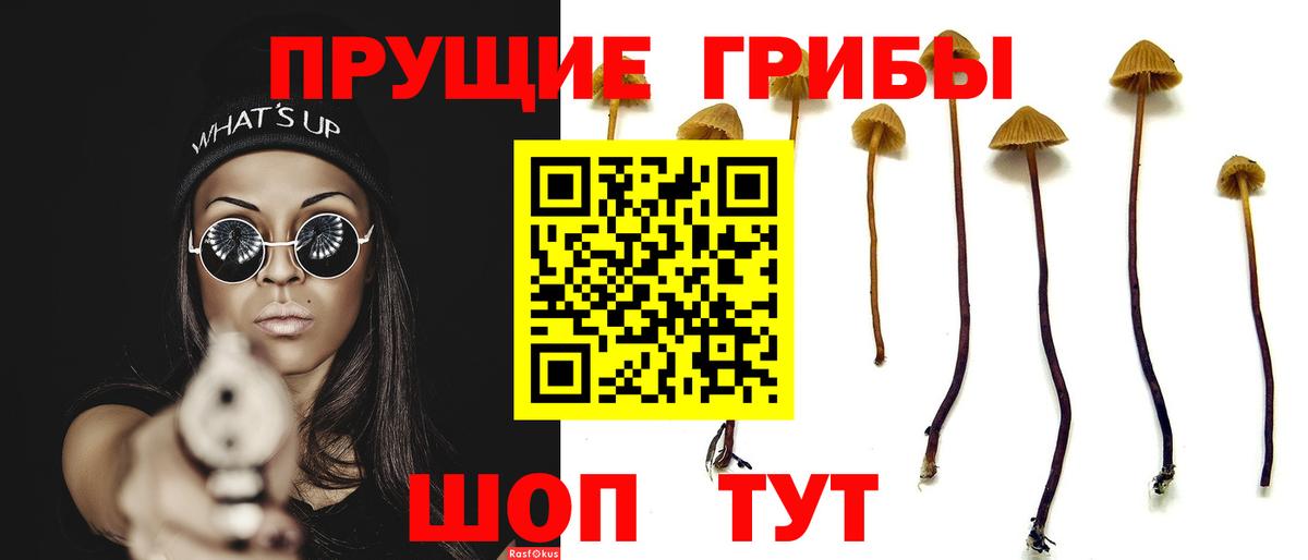 Галлюциногенные грибы Magic Shrooms Серов